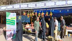 برگزاری جشنواره انار در استان قم با محوریت الگوی کشت ملی و تغییر اقلیم